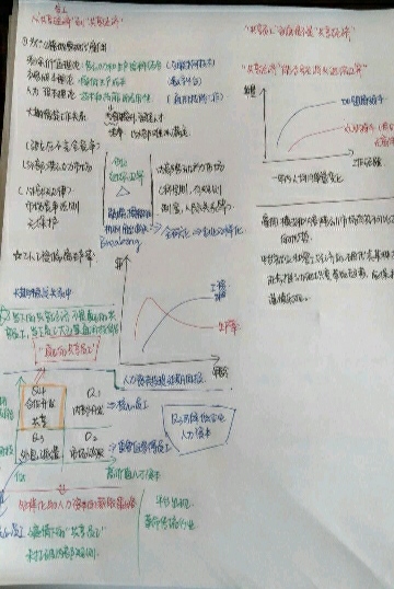 sunbet官网